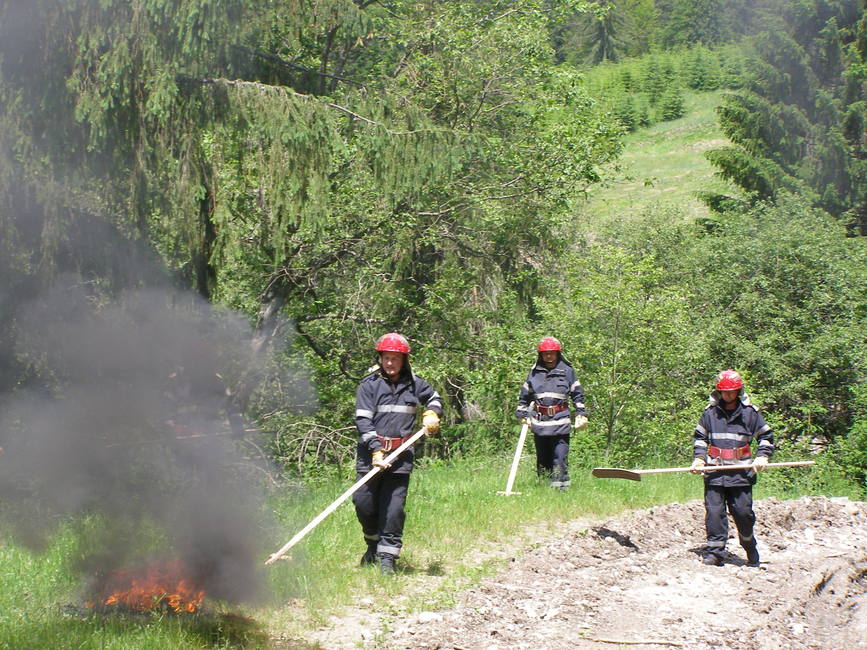 Exercitiu in cazul producerii unui incendiu la fondul forestier in comuna Tulnici | imaginea 1