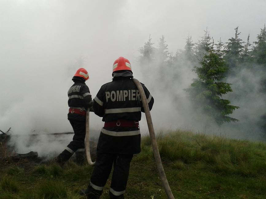 Incendiu la fondul forestier | imaginea 2