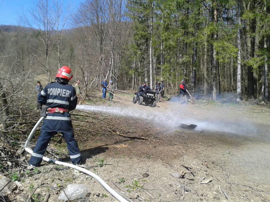 Incendiu la fondul forestier Soveja | imaginea 1