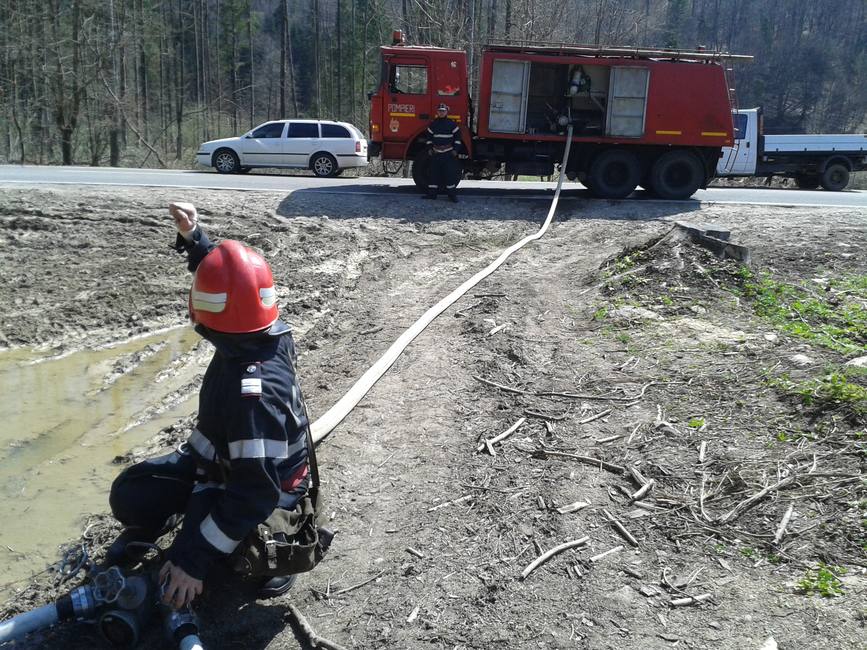 Incendiu la fondul forestier Soveja | imaginea 2