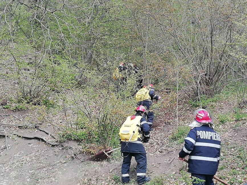 Stingerea incendiilor la un fond forestier | imaginea 1