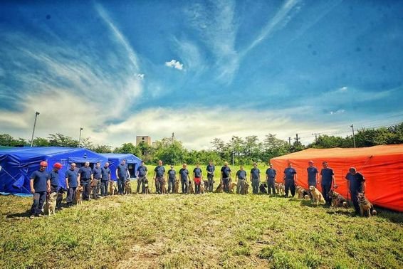 Pompieri hunedoreni in tabara canina organizata de ISU Timis | imaginea 1