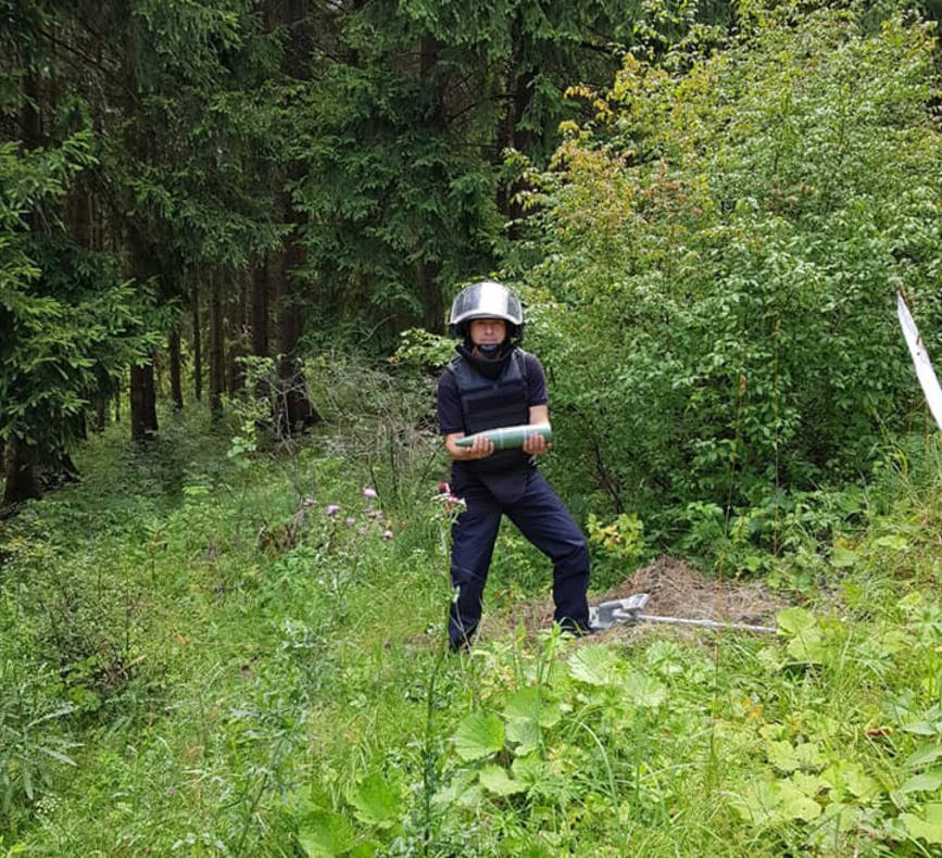 Incendiu produs la fond forestier  cu descoperirea unui element de munitie ramas neexplodat | imaginea 1