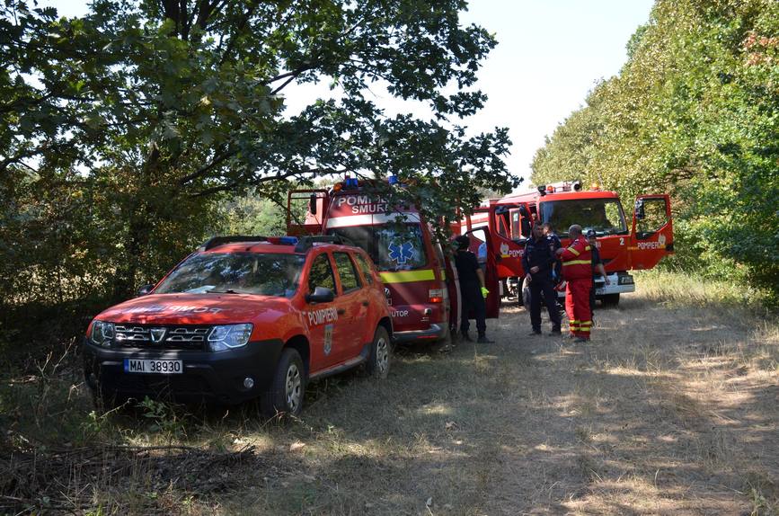 Incendii de miristi si la fondul forestier in Padurea Ghimpetanca  Giurgiu | imaginea 1