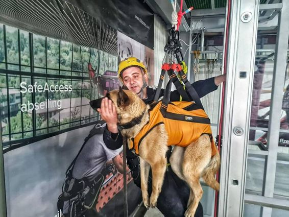 Cainele salvator Kara se antreneaza alaturi de pompierii brasoveni | imaginea 1