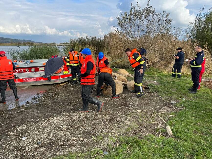 Pompierii timiseni  in actiune la exercitiul international EU MODEX de la Sibiu | imaginea 1