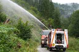 Incendiu de padure si munitie neexplodata descoperita in fondul forestier din Suceava | imaginea 1