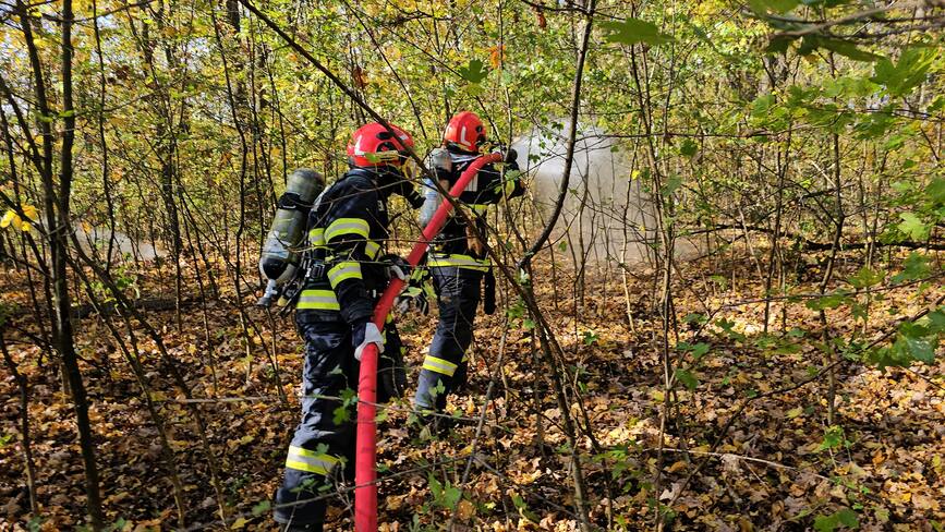 Misiuni de salvare in cazul unui incendiu de padure | imaginea 1