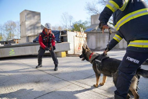 Antrenament de cautare salvare canina | imaginea 1