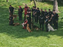 Antrenament de cautare salvare canina in Fagaras | imaginea 1