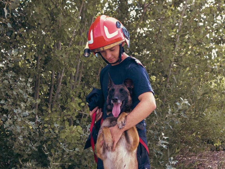 Antrenament de cautare salvare canina | imaginea 1