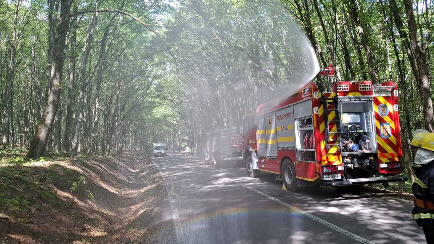 Incendiu de fond forestier | imaginea 1