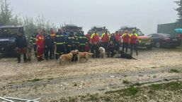 Incident montan   turisti surprinsi de urs | imaginea 1