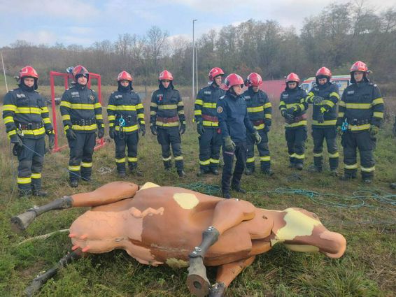 Antrenament pentru salvarea animalelor mari | imaginea 1