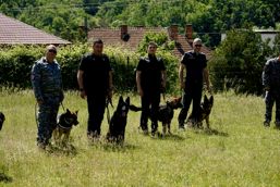 Convocare pentru pregatirea echipelor canine de serviciu | imaginea 1
