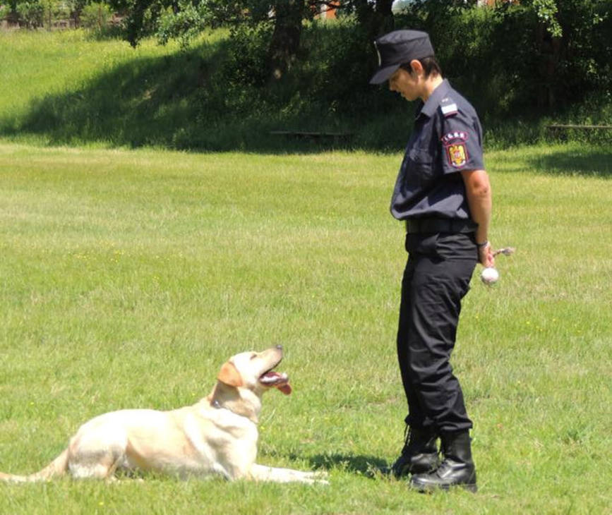 Echipaj canin hunedoarean atestat pentru operatiunile de cautare   salvare in daramaturi | imaginea 1