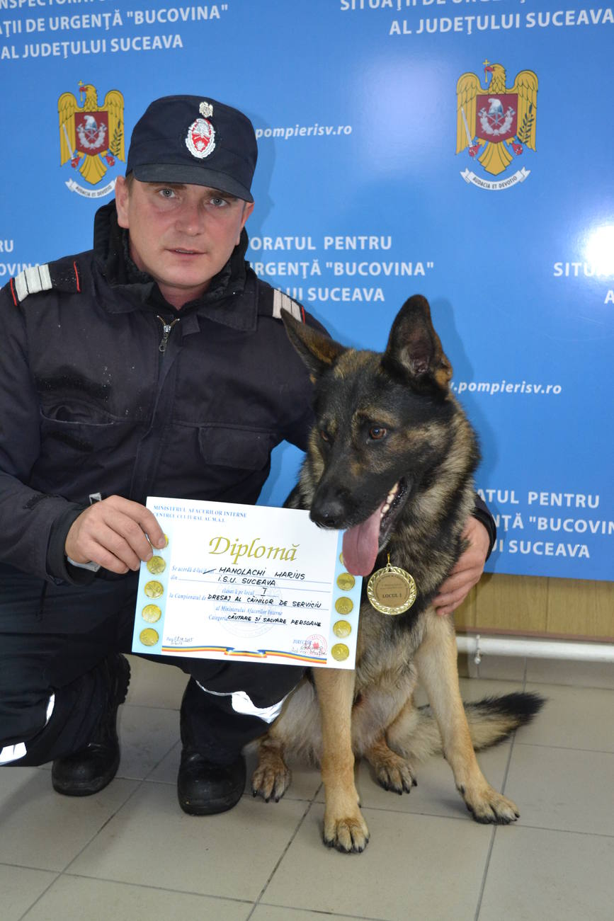 Campionatul de dresaj al Cainilor de Serviciu al Ministerului Afacerilor Interne   Olly Campionul | imaginea 3