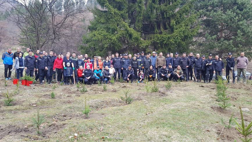 Plantam fapte bune in Romania   in  Luna plantarii arborilor | imaginea 1