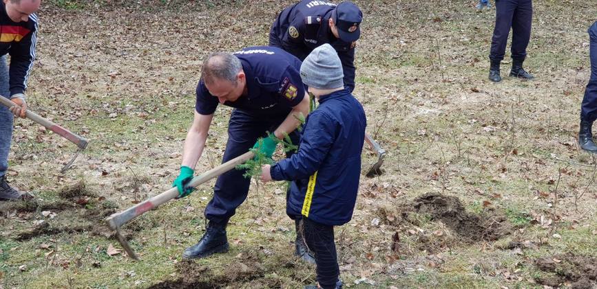 Plantam fapte bune in Romania   in  Luna plantarii arborilor | imaginea 2