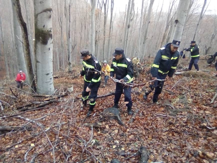 Pompierii din cadrul ISU Mehedinti  alaturi de elevi intr o actiune de impadurire | imaginea 1