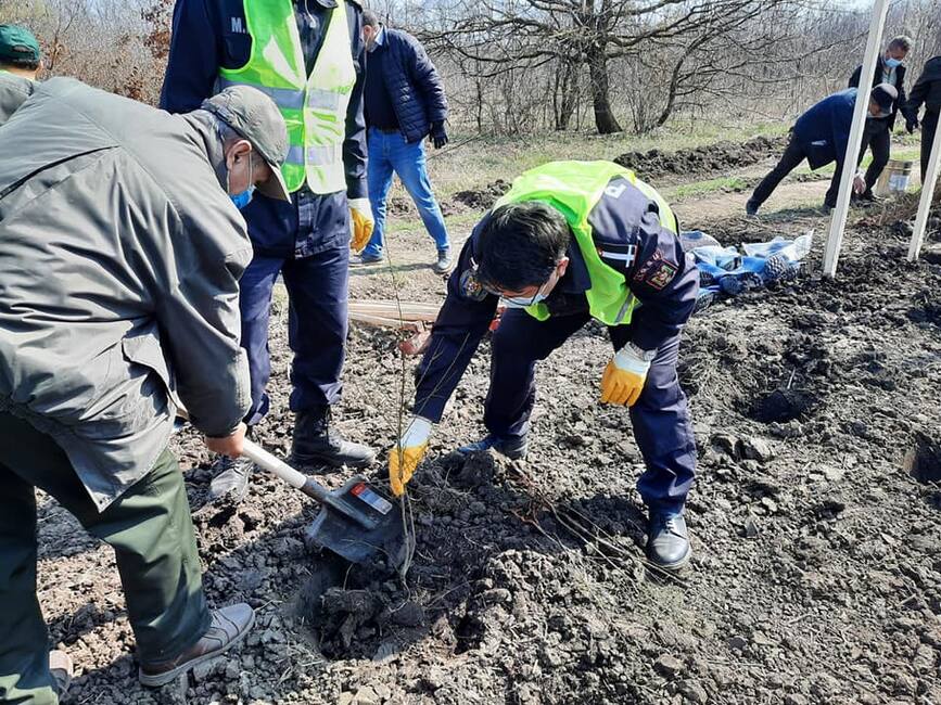 Luna Plantarii Arborilor   pompierii teleormaneni au plantat puieti | imaginea 1