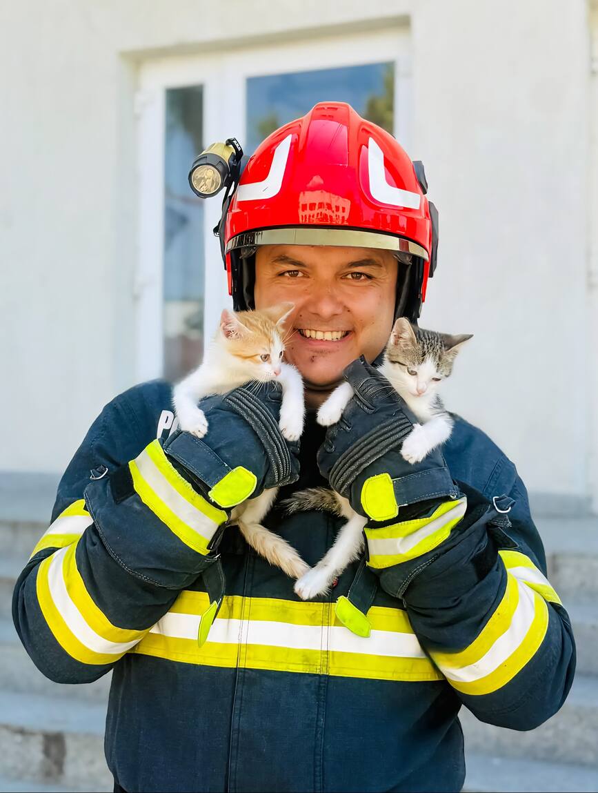 4 octombrie   Ziua Mondiala a Animalelor | imaginea 1