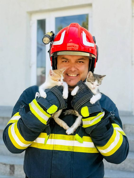 4 octombrie   Ziua Mondiala a Animalelor | imaginea 1