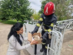 Pentru ca fiecare viata conteaza | imaginea 1
