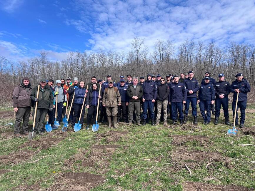Pompierii mehedinteni  salvatori de vieti | imaginea 1
