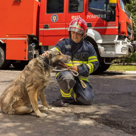 De la salvarea de vieti  la salvarea de destine  Misiunea ACASA | imaginea 1