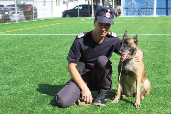 Luna  partenera de nadejde in misiunile de cautare salvare | imaginea 1