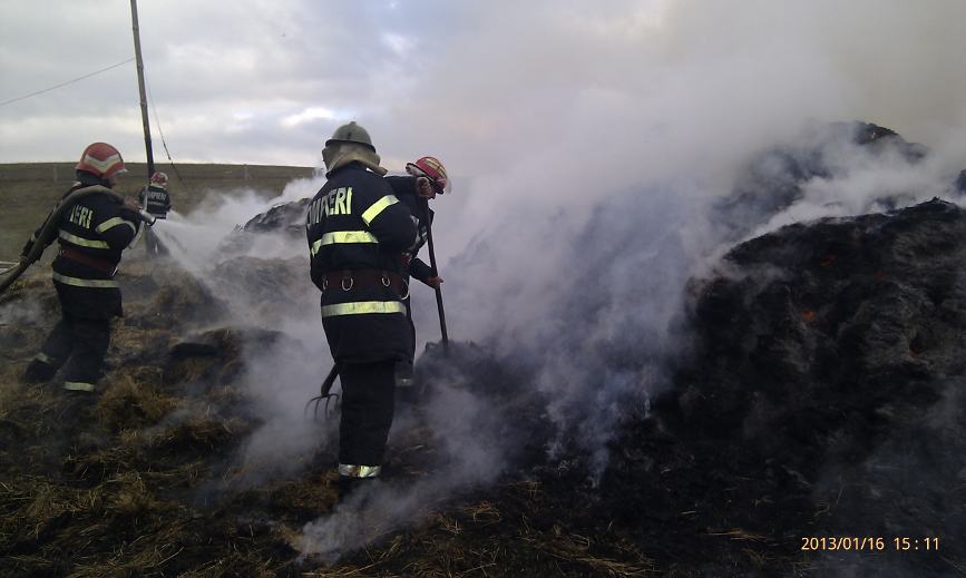 Sase vite au ars de vii intr un incendiu | imaginea 2