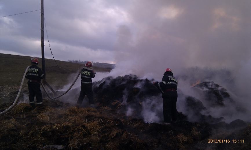 Sase vite au ars de vii intr un incendiu | imaginea 3