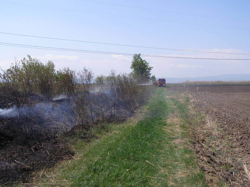 Amendati pentru ca au incendiat vegetatia uscata | imaginea 3