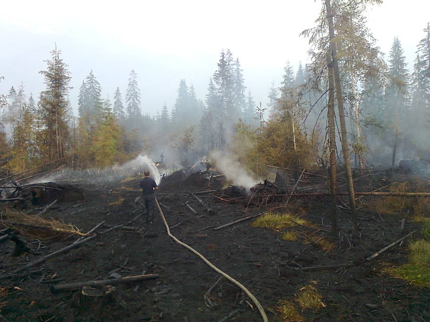 Incendiu la fond forestier | imaginea 1