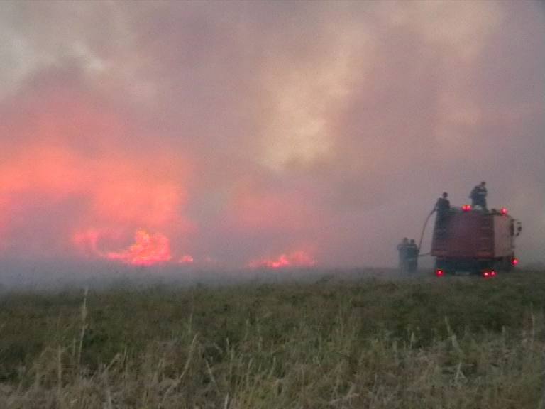 Peste 50 de hectare de teren in flacari | imaginea 1