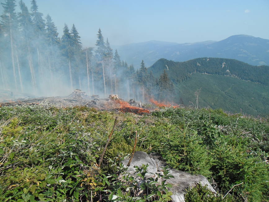 Incendiu de fond forestier in masivul Retezat | imaginea 1