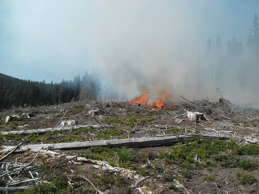 Incendiu de fond forestier in masivul Retezat | imaginea 2