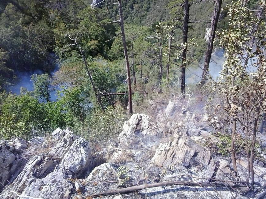 Incendiu de proportii in Parcul National Domogled  Inspectorul general al IGSU col Ion Burlui a fost alaturi de cei 241 de pompieri care lucreaza pentru lichidarea incendiului | imaginea 1