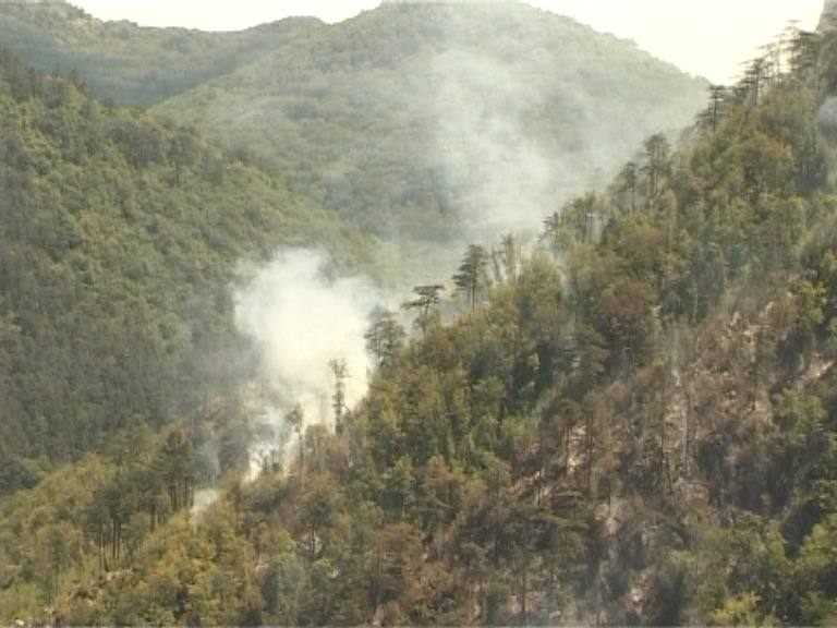 Incendiu de proportii in Parcul National Domogled  Inspectorul general al IGSU col Ion Burlui a fost alaturi de cei 241 de pompieri care lucreaza pentru lichidarea incendiului | imaginea 2