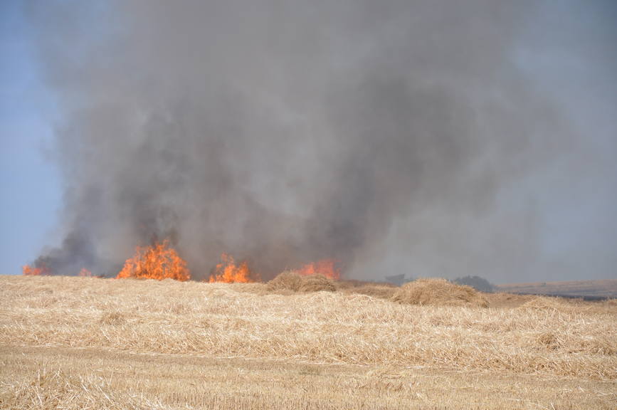 Iadul dezlantuit  30 de hectare de orz si 20 de hectare de miriste cuprinse de flacari | imaginea 3