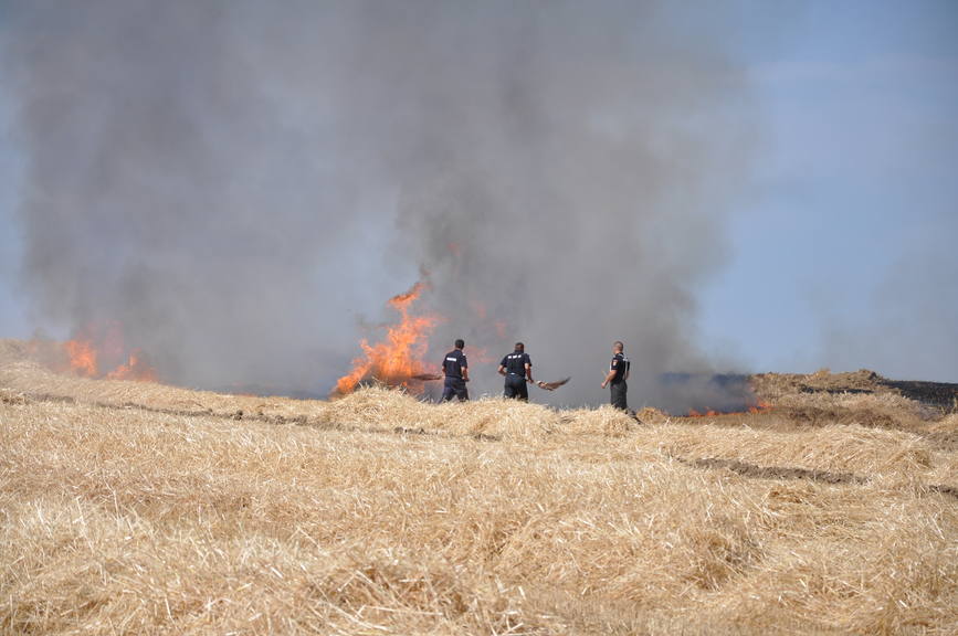 Iadul dezlantuit  30 de hectare de orz si 20 de hectare de miriste cuprinse de flacari | imaginea 4