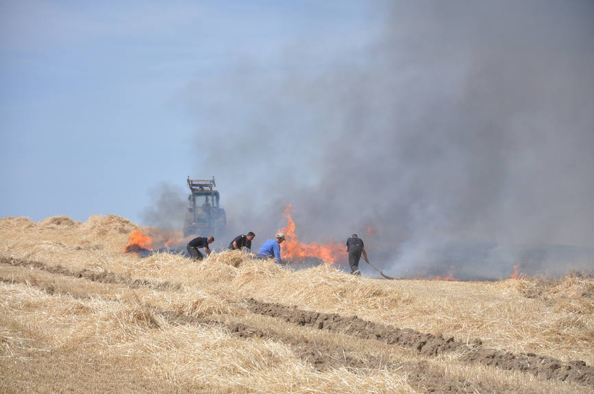 Iadul dezlantuit  30 de hectare de orz si 20 de hectare de miriste cuprinse de flacari | imaginea 5