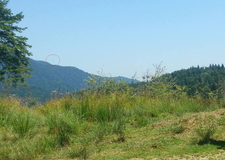 In ciuda eforturilor autoritatilor  pilotul disparut nu a fost gasit | imaginea 1