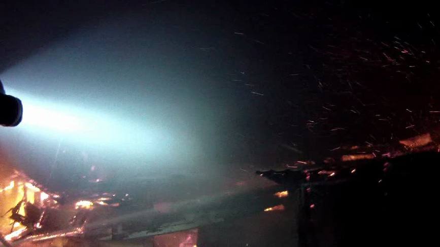 50 de bovine si 7 porcine au murit intr un incendiu | imaginea 1