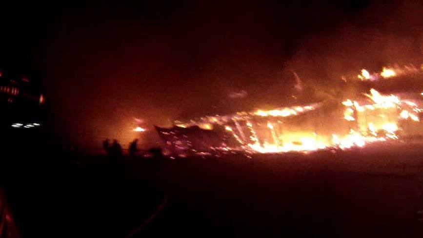 50 de bovine si 7 porcine au murit intr un incendiu | imaginea 2