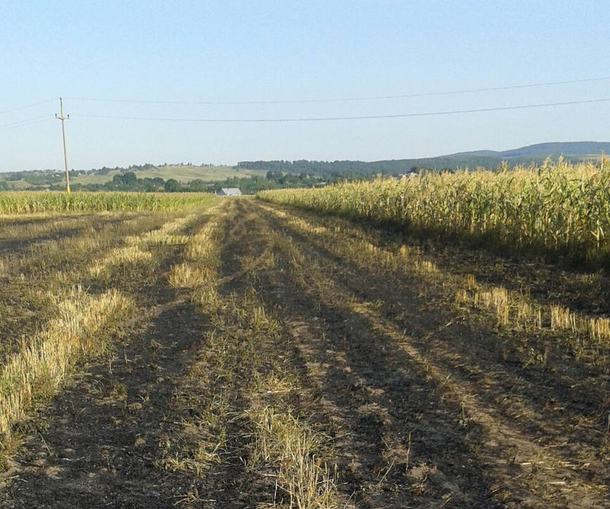 Un barbat a murit in timp ce igieniza prin ardere o parcela de teren | imaginea 1