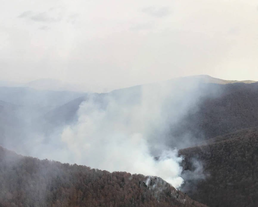 Padurea Apusenilor in flacari  Pompierii din 6 judete actioneaza pentru stingerea incendiului | imaginea 1