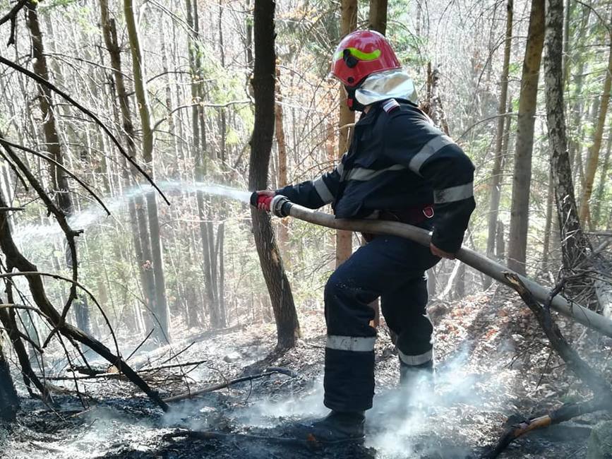 Incendiu de litiera si doboraturi in padurea de pe raza comunei Plaiesii de Jos | imaginea 1