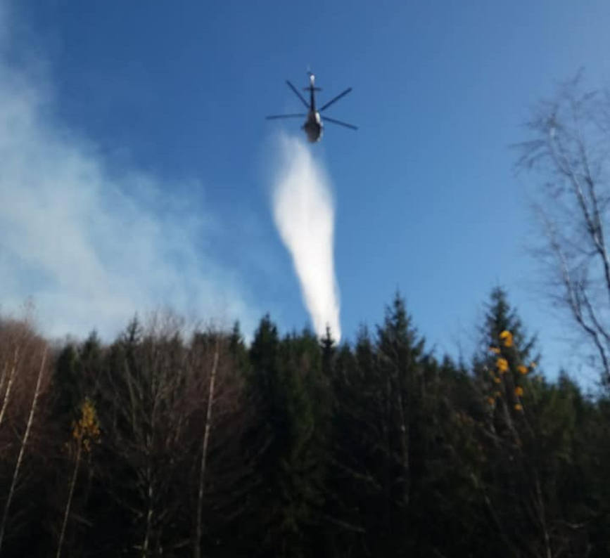 Incendiu in Parcul Natural Gradistea Muncelului   Cioclovina | imaginea 1